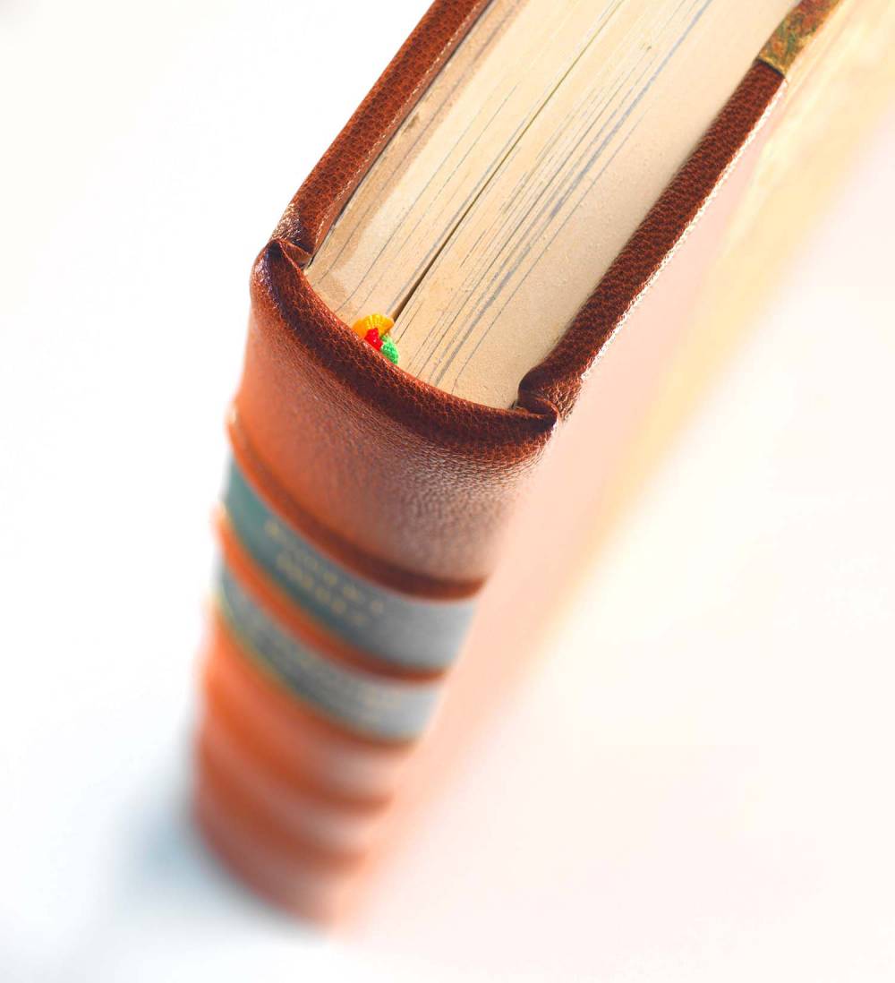 _©Studio Pygmalion (25)